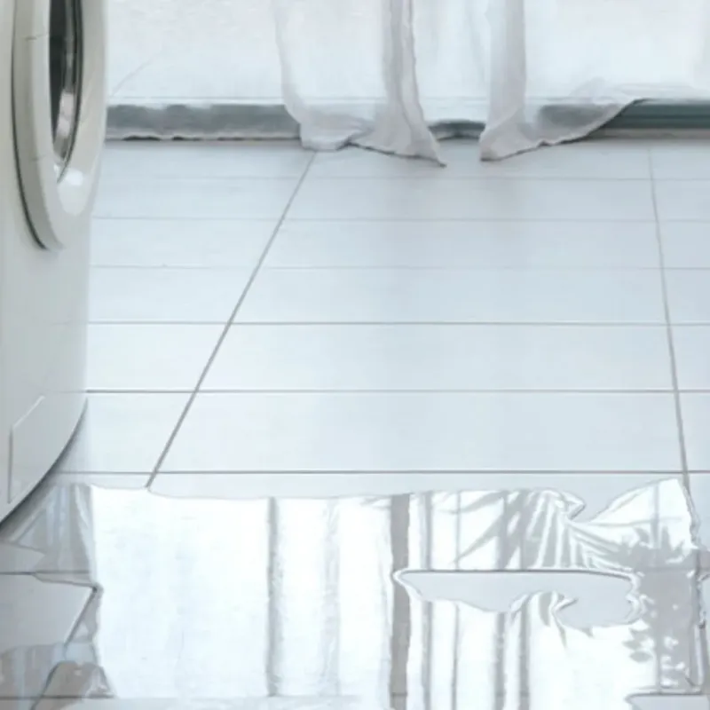 Appliance Leak Cleanup in Scurry County, TX