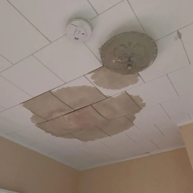 Ceiling Water Damage Repair in Scurry County, TX