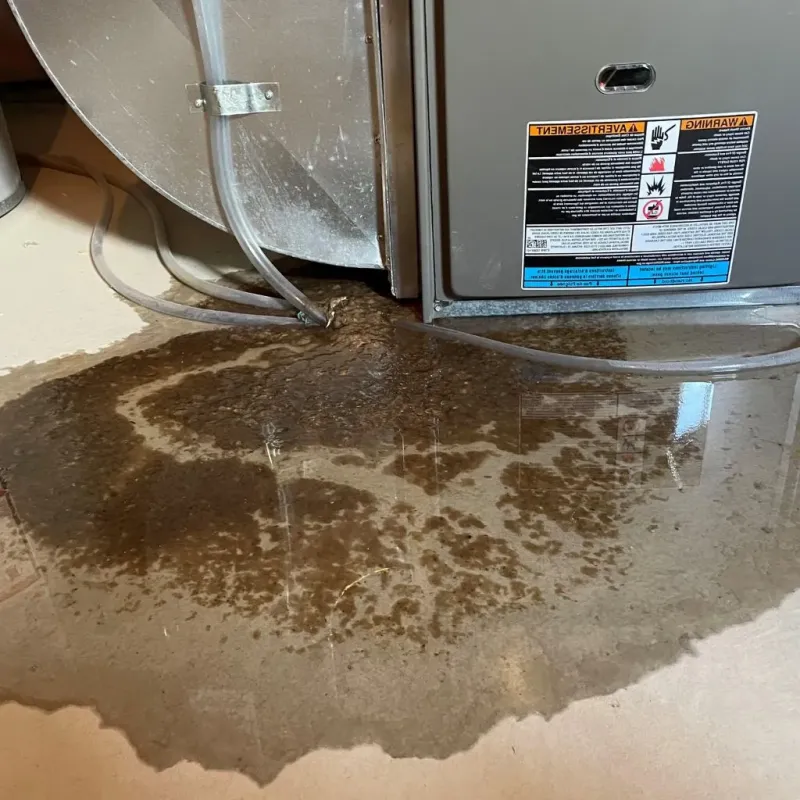 Pipe Burst and Leak Restoration in Scurry County, TX