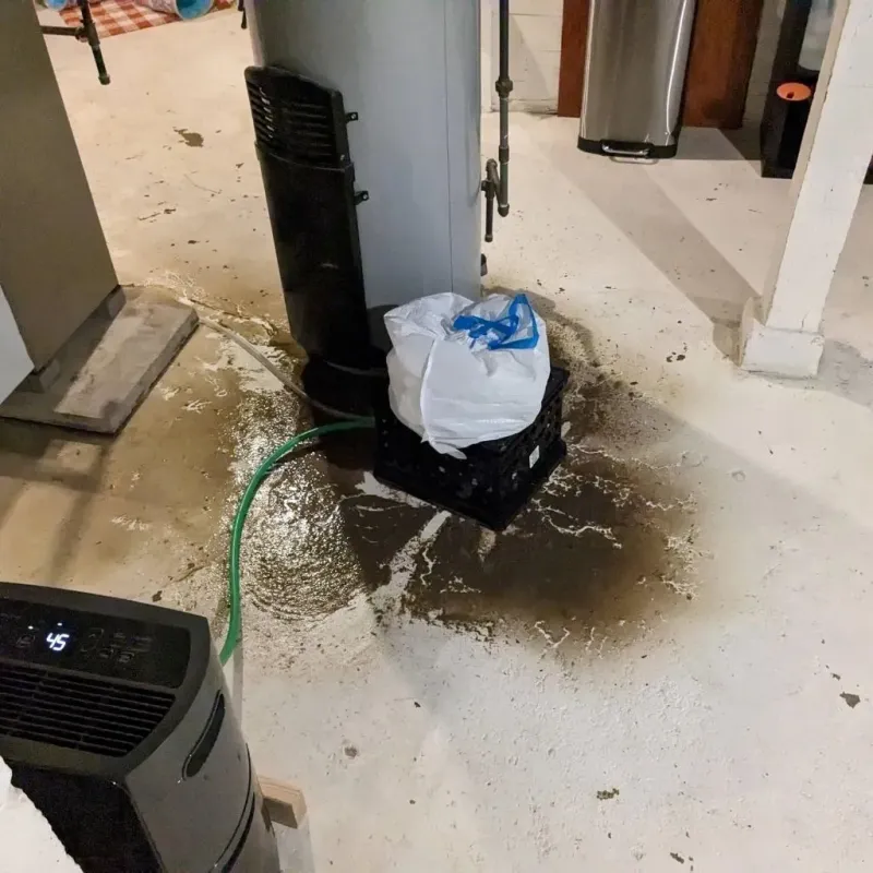 Sewage Backup Cleanup Service in Scurry County, TX